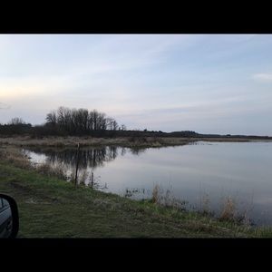 Meet your Posher, Noel